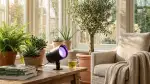 Stimmungsvolle Gartenbeleuchtung