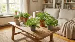 Effektive Mückenschutz-Lösungen für den Garten