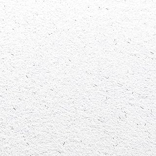 Baumwollputz Schneeweiß mit Effektfäden Silbermetallic – Flüssigtapete aus weißer Baumwolle 1…