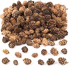 Baker Ross AC492 Lange Lärchenzapfen, im Vorteilspack, ideal für Bastelarbeiten für Kinder, We…