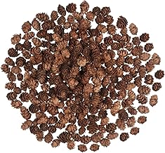 200 Stück Weihnachten Tannenzapfen,Natürliche Mini Thanksgiving Ornamente für Heimtextilien DI…