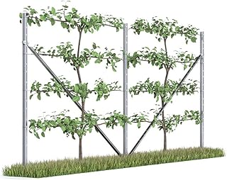 RANKI ™ – Rankhilfe für Kletterpflanzen – Spalier auf Plantagenstandard für Wein, Kiwi, Kiwib…