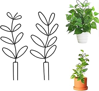 Rankhilfe für Zimmerpflanzen, Garten Pflanzenstütze Rankhilfe, Blumenstütze Gitterspalier, 2 S…