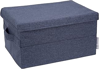 BIGSO mittelgroße Aufbewahrungsbox mit Deckel und Griff – Schrankbox aus Polyester und Karton …