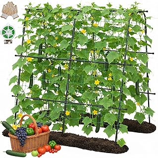 160x160cm U-förmiges Gurkenspalier Rankhilfe für Kletterpflanzen, Stabiles 1,5cm Metall Rankger…