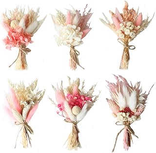 6 Bündel Trockenblumenstrauß Mini Echten Trockenblumen zum Basteln Boho Trockenblumenstrauß Ro…